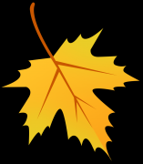 <b>到吕梁市离石区大东旅逛度假区来一次丛林康养</b>