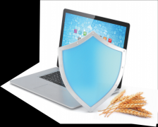 <b>示中国食物丰硕性、多元性</b>